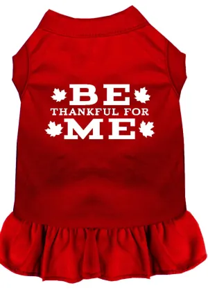 Be Thankful For Me Screen Print Dress Red Xl (16)