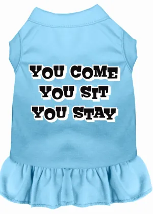 You Come, You Sit, You Stay Screen Print Dress Baby Blue Xxl (18)